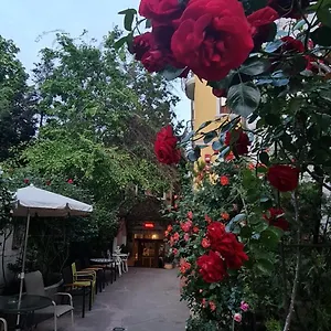  Pensiune Casa Michelangelo